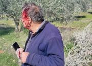 rabbis-for-human-rights
