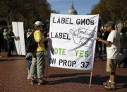 gmo-label-supporters-in-california